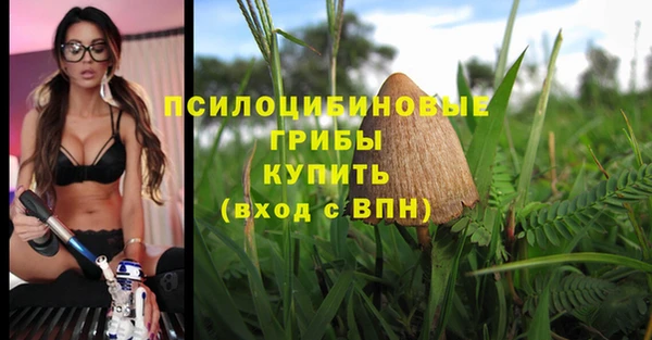 MDMA Бородино